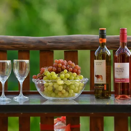 Apartament Andri House