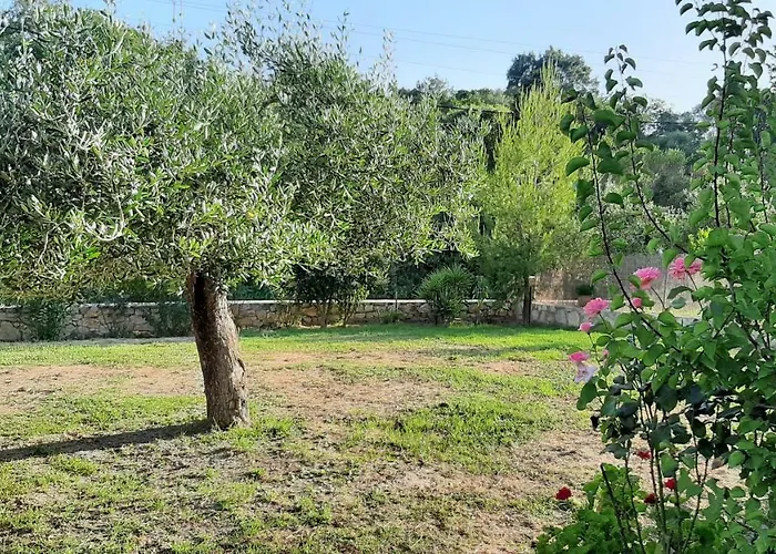 아파트 Andri House 마라티아스